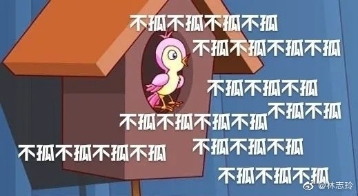 林志玲|黑泽良平担任棒球赛开球嘉宾，林志玲现身秀恩爱，力破夫妻不和谣言