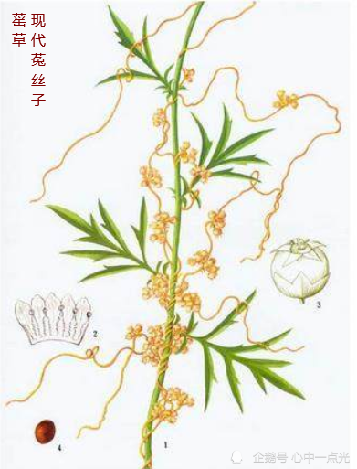 看山海经,一天熟悉一种志怪,贰佰壹拾壹