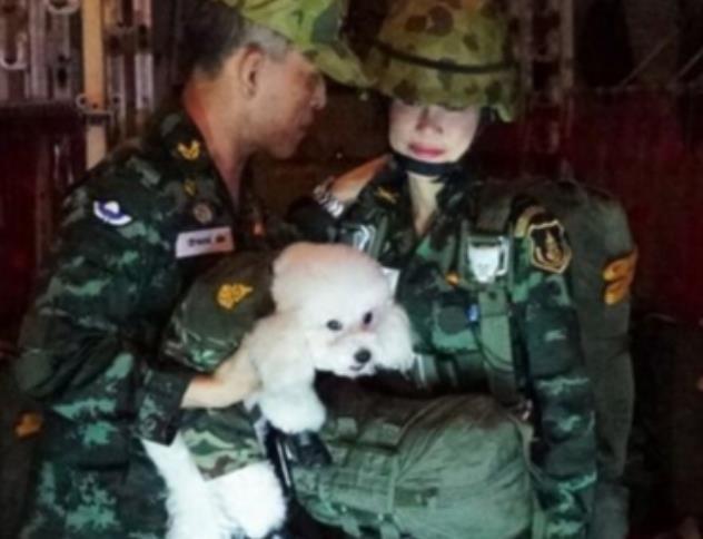 诗妮娜|68岁泰王浪子回头！为诗妮娜送上洁白婚纱，比年轻人求婚都浪漫