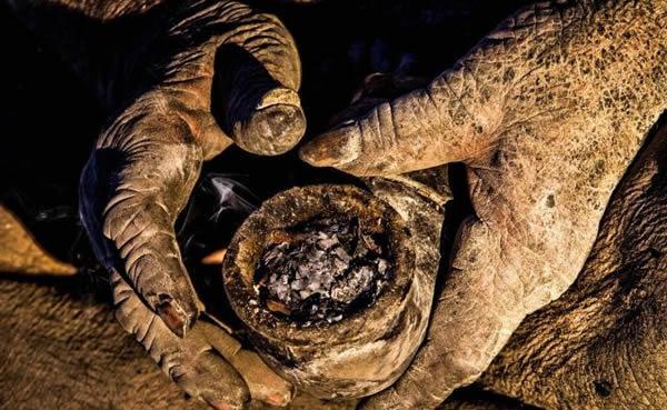 谢霆锋|谢霆锋、范冰冰不爱洗澡各有原因！而这位83岁爷爷63年没洗澡真相感人