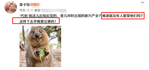 章子怡|章子怡发文曝娱乐圈内幕：“难道没人可以管吗？迟早要出大事！”