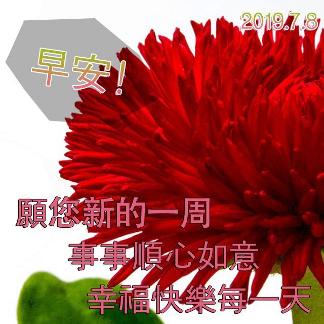 早上好圖片大全溫馨 早上好圖片祝福語