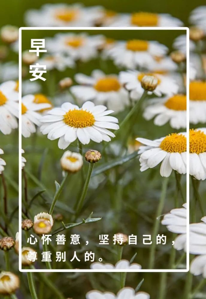 早安心语最新早安心语简短句子