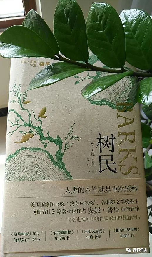 树民|以树之名——《树民》的乡愁四韵