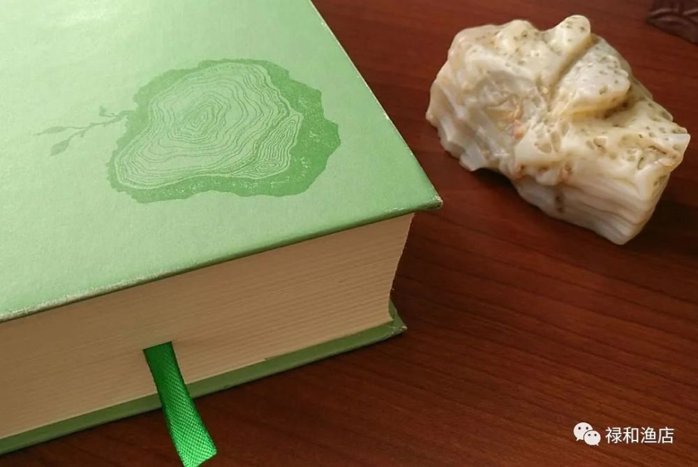 树民|以树之名——《树民》的乡愁四韵