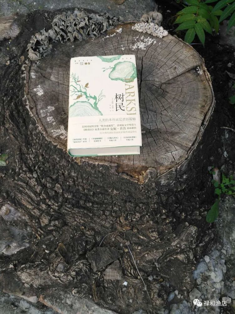 树民|以树之名——《树民》的乡愁四韵