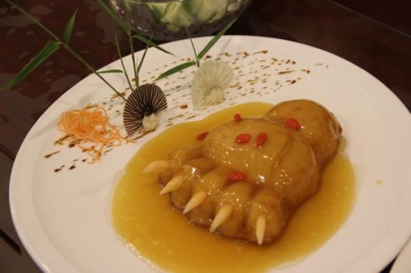 科学家|为什么人类总吃食草动物，很少吃食肉动物？科学家：吃不得