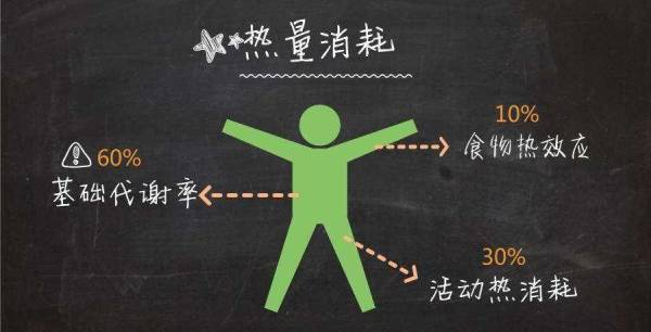 科学家|为什么人类总吃食草动物，很少吃食肉动物？科学家：吃不得