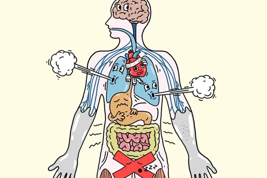 十七年糖尿病素食之后血糖趋近稳定肉类其实是一种深度加工食品