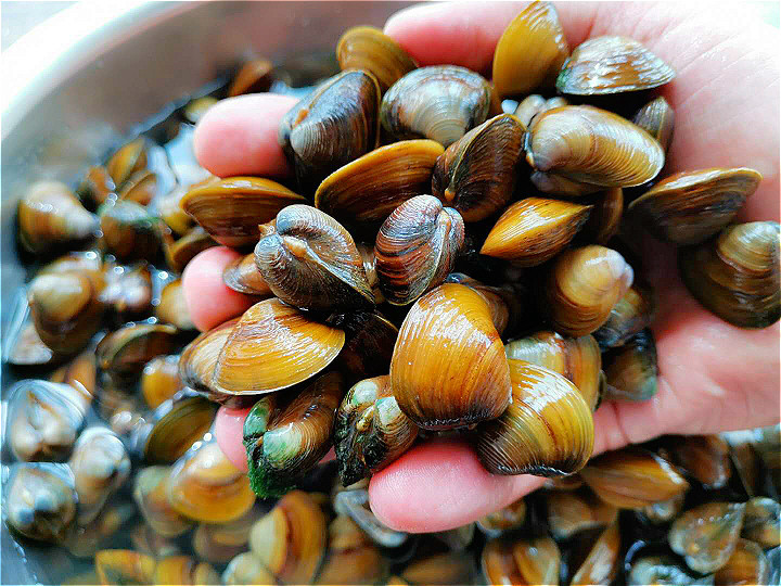 赶大集 6旬大妈卖它 10块钱6斤 无人识货 我一看全部买下 腾讯新闻