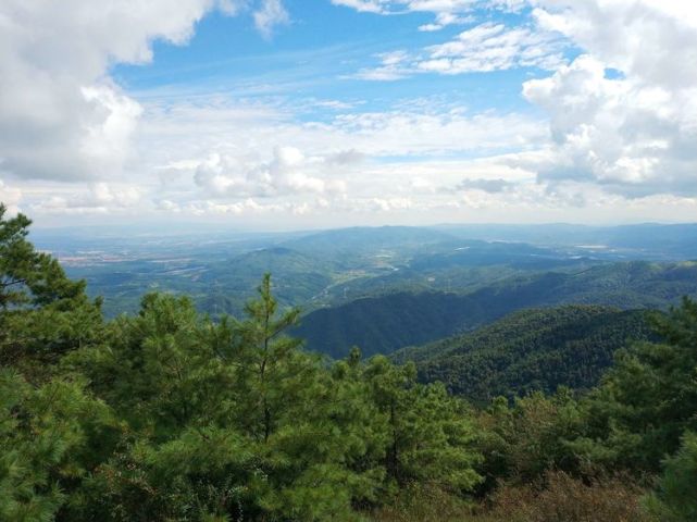 徒步嵩明大尖山赏草甸松涛走绿野仙踪