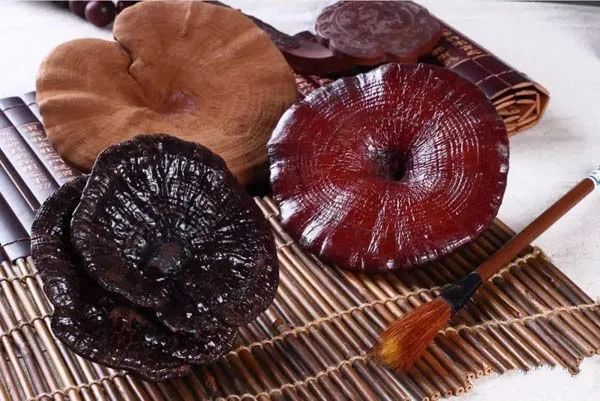 盘点破壁灵芝孢子粉有哪些被夸大的功效 腾讯新闻