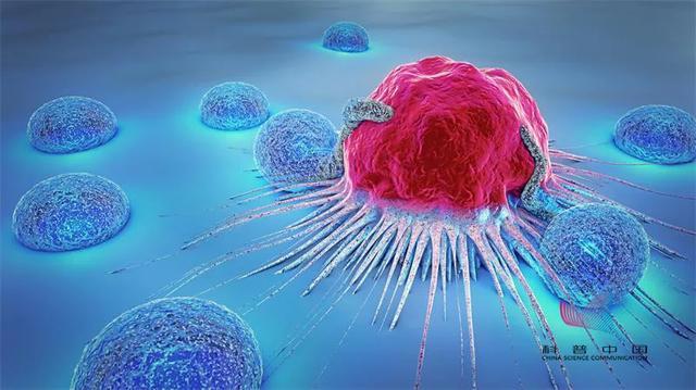 癌症|为什么癌症发现就是晚期？其中的原因值得深思