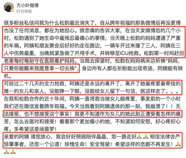 谭松韵现身妈妈被撞案庭审-WordPress极简博客