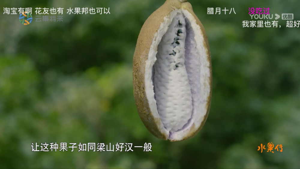 一起来看水果传6夫妻果是什么你是否也跌进了草莓的温柔乡