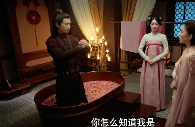 长安诺|成毅新剧《长安诺》来袭！剧情狗血虐心，比《琉璃》还悲惨？