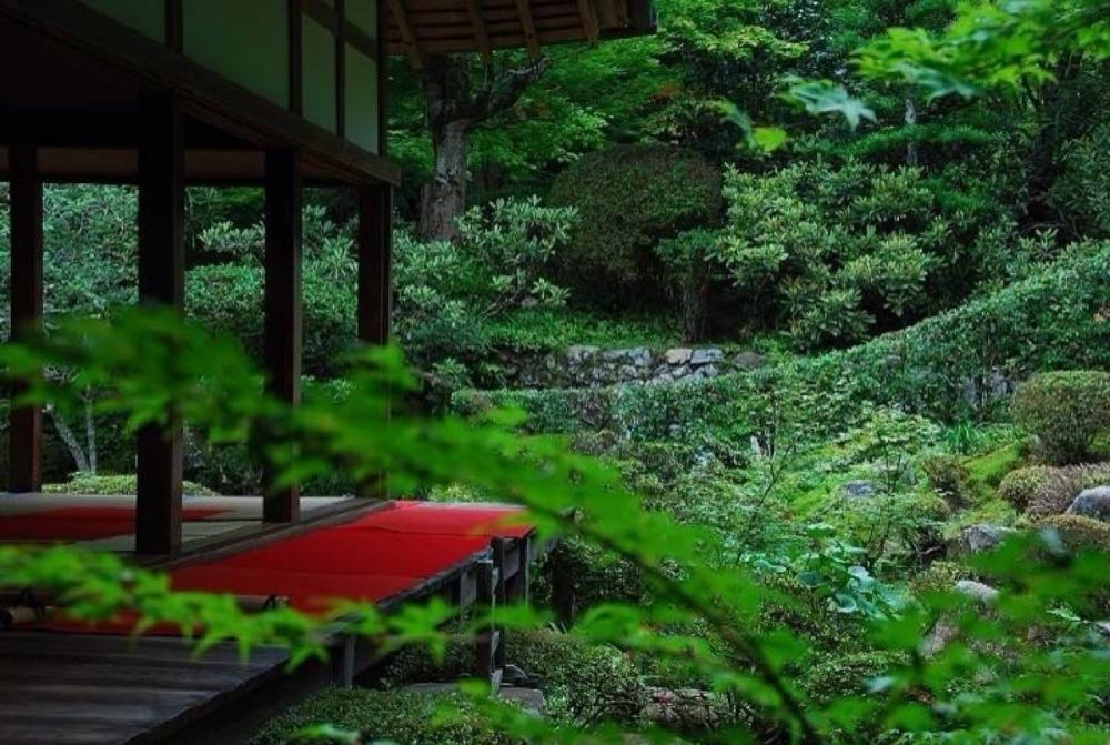 黄庭坚|黄庭坚一首比较冷门的诗，但是同样写得很美，值得我们一读再读