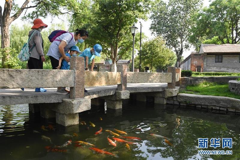 胡同|小桥、流水、书香、人家——老北京胡同里的恬静栖居