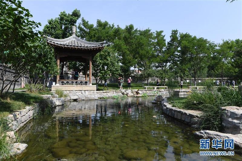 胡同|小桥、流水、书香、人家——老北京胡同里的恬静栖居