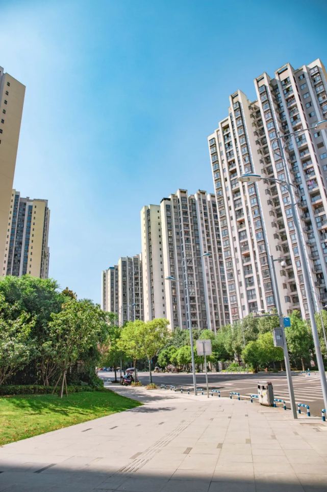 重磅重庆东站最新规划出炉茶园即将爆发