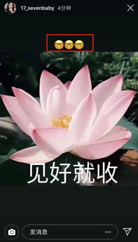 王思聪|王思聪绯闻女友自曝单身，不愿再提恋情，男方3个月已换3位女伴