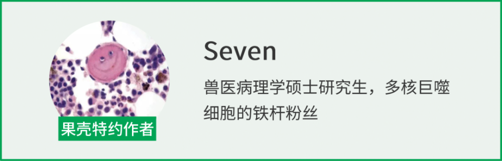 猪肉|怎样得到入口即化的美味猪肉？喂猪喝日本烧酒