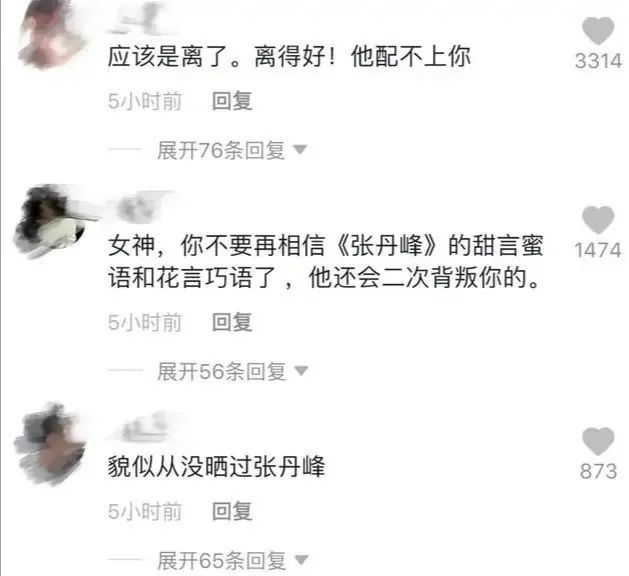 张丹峰|毕滢赢了官司，还了张丹峰清白，为何洪欣还是“被离婚”？