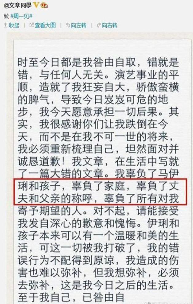 2014年3月28在马伊琍怀2胎的时候,文章被拍到和姚笛出轨在一起的掌