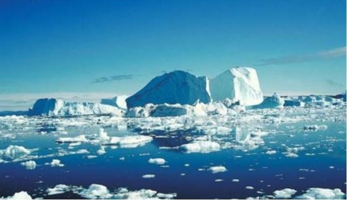 地球|大量北极生物进入灭绝倒计时！研究者称：时间只剩下15年