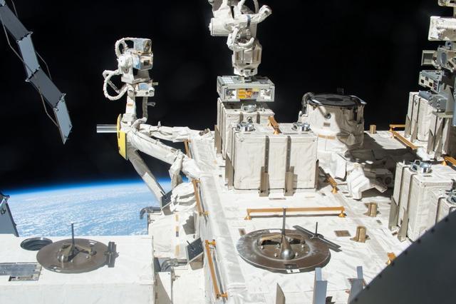 地球|地球生命很可能来自外星？科学家发现：一种原始生命可在太空生存