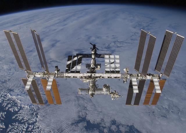 地球|地球生命很可能来自外星？科学家发现：一种原始生命可在太空生存