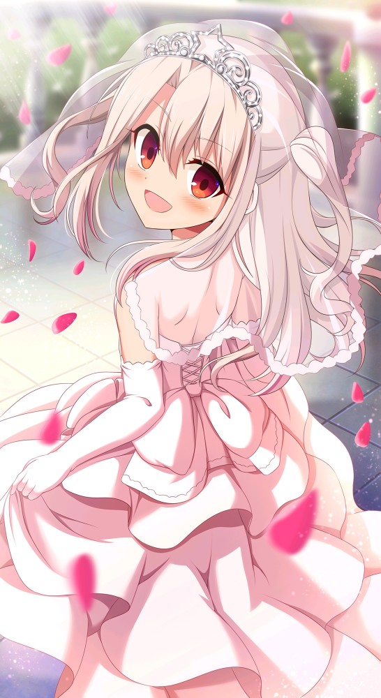 fatefgo人物志伊莉雅丝菲尔冯爱因兹贝伦