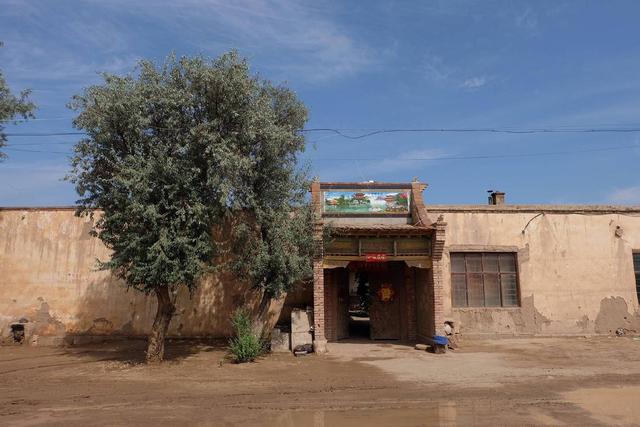 中学毕业农村小伙放弃工作回家种树十三年拯救家乡成当地红人