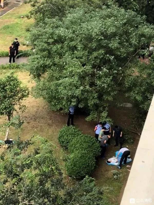 长清常春藤小区16岁少女坠楼身亡
