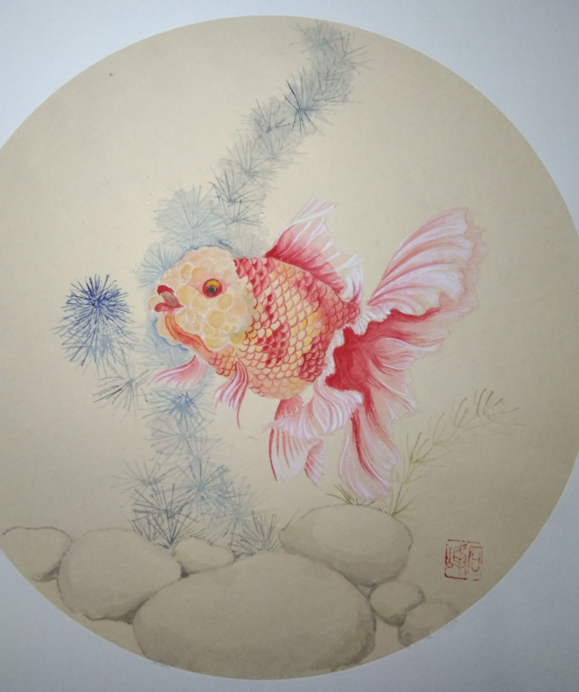 兰寿金鱼及金鱼工笔画作品欣赏