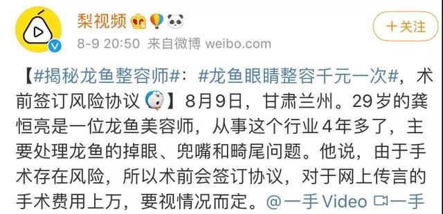 龙鱼美容师 有钱人的新型游戏 动辄上万元 腾讯新闻