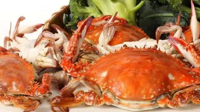 注意了 螃蟹有5个地方不能吃 很多人不懂 难怪吃了闹肚子 腾讯新闻