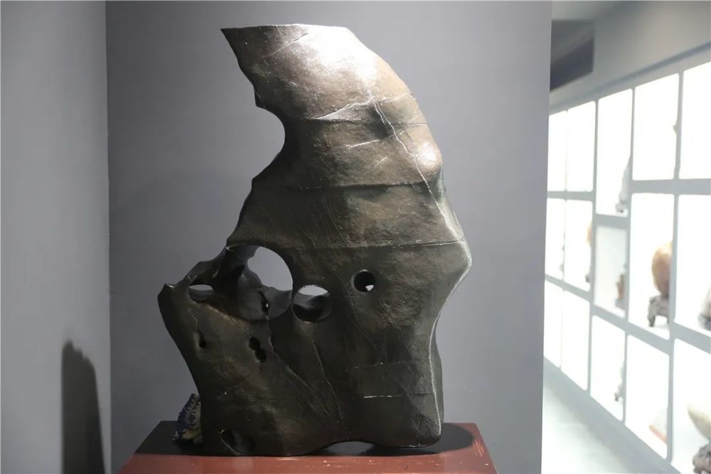 恐龙化石|金港深藏一家艺术展馆！恐龙化石、奇珍异石琳琅满目…………