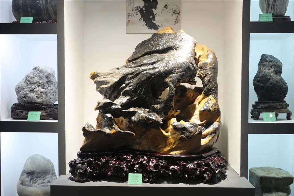 恐龙化石|金港深藏一家艺术展馆！恐龙化石、奇珍异石琳琅满目…………