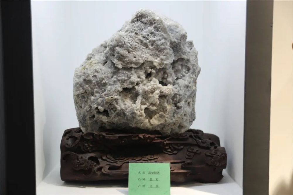 恐龙化石|金港深藏一家艺术展馆！恐龙化石、奇珍异石琳琅满目…………