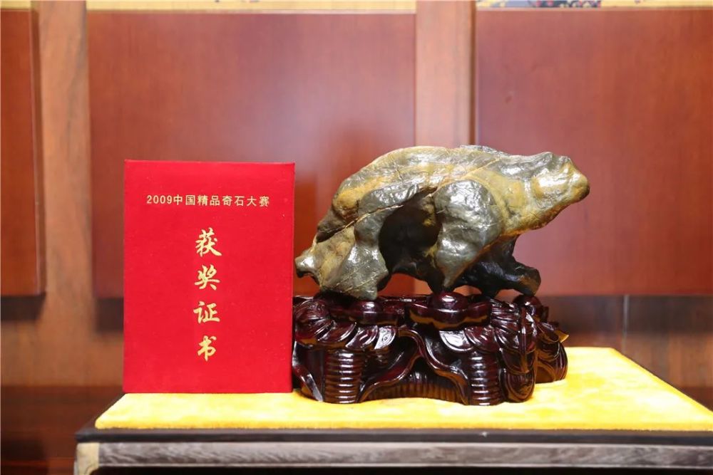 恐龙化石|金港深藏一家艺术展馆！恐龙化石、奇珍异石琳琅满目…………