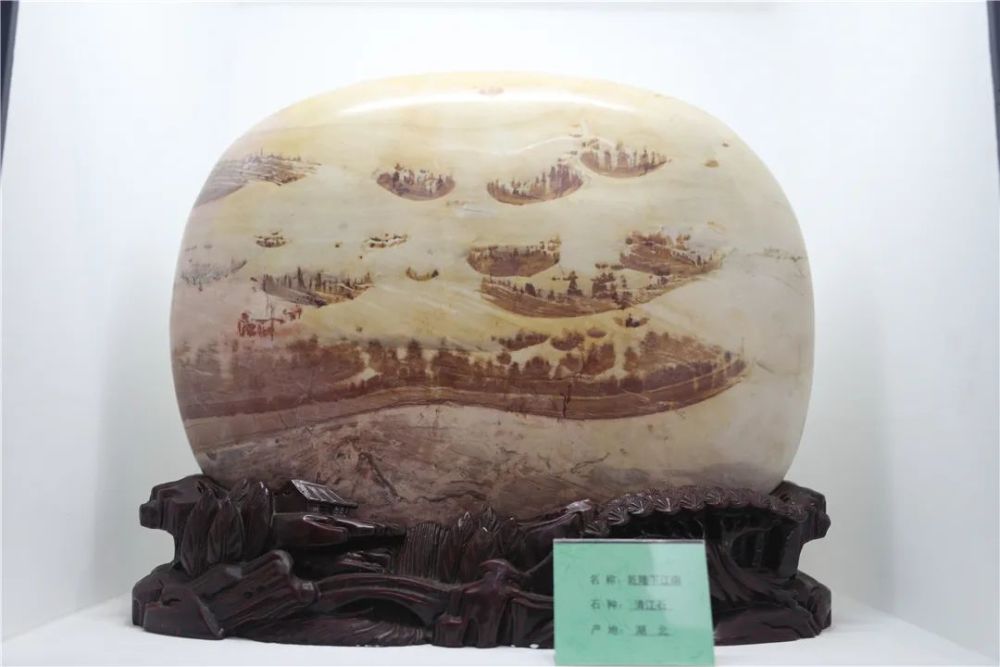 恐龙化石|金港深藏一家艺术展馆！恐龙化石、奇珍异石琳琅满目…………