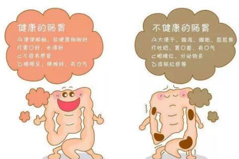 胃肠功能紊乱总体概述