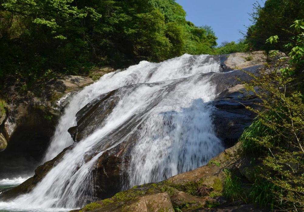接高安市,西南毗宜丰县,西北邻修水县,北靠靖安县,潦河水流贯境内西东