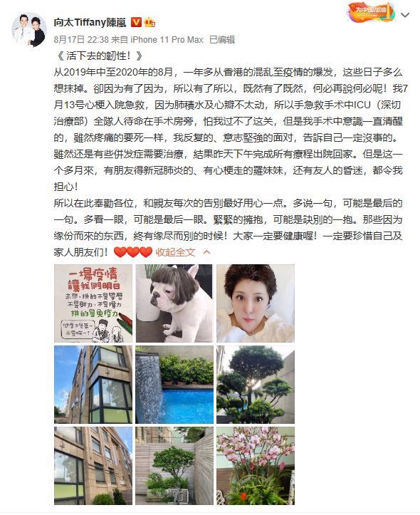 郭碧婷|郭碧婷临产在即，因未扯结婚证屡传婚变，郭爸力挺女婿向佐怼黑粉
