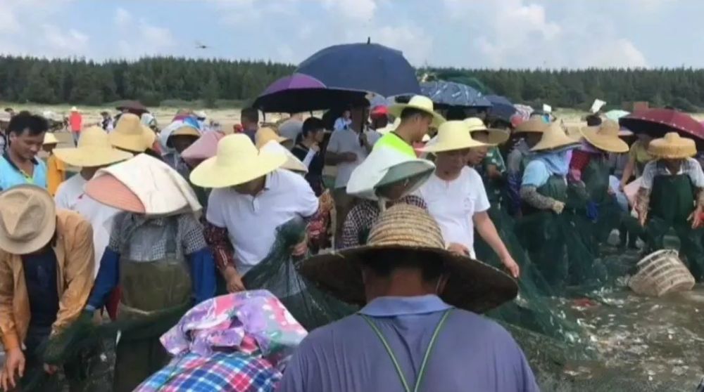 湛江富豪排行榜2017_2021胡润富豪榜湛江籍上榜企业家7人,吴川5人,大部分都姓陈!(2)