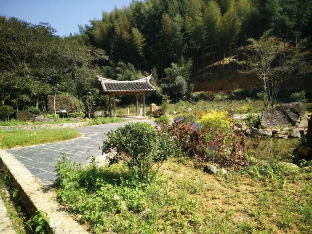 中国美丽休闲乡村三明市大田县桃源镇东坂村