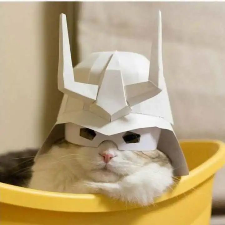 0212csgo步枪饰品换steam余额比例火速更新