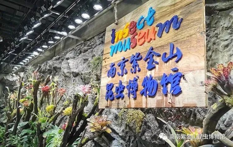 博物馆|远离人群，找寻隐于市的小众情怀