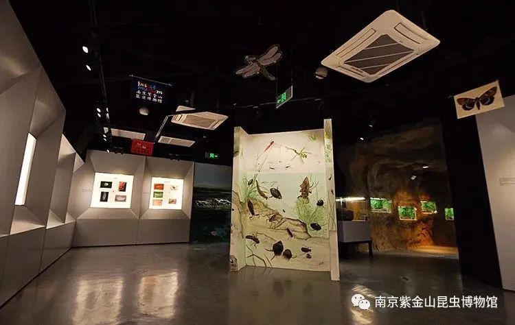 博物馆|远离人群，找寻隐于市的小众情怀